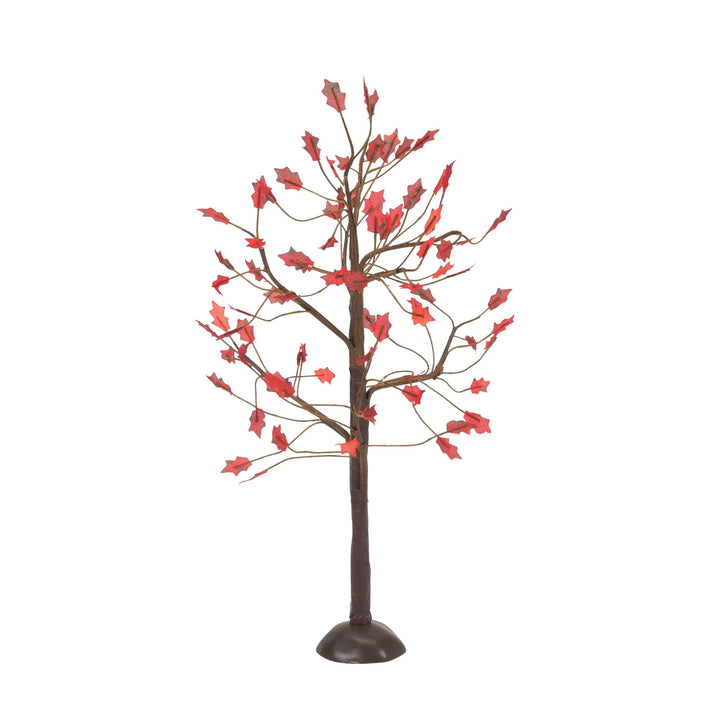 September Oaks S/3