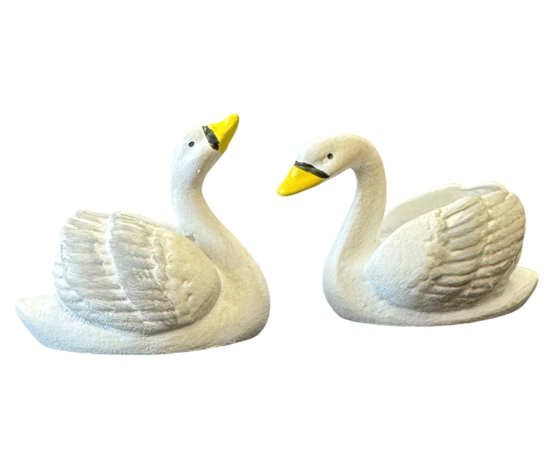 Swan Pond - Pair of Swans