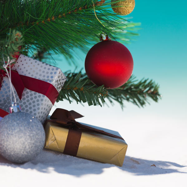 The History of Christmas in July