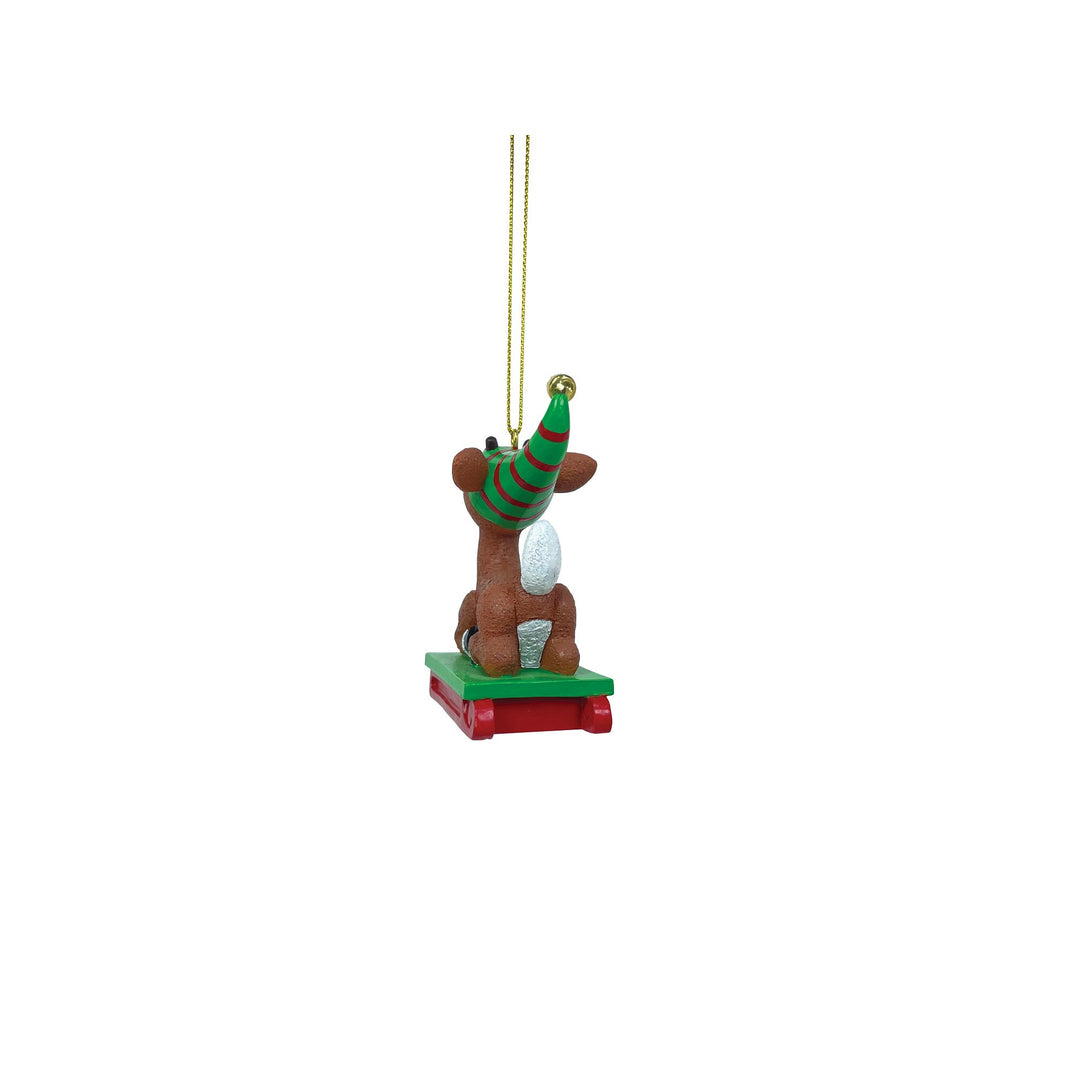 Rudolph Sledding