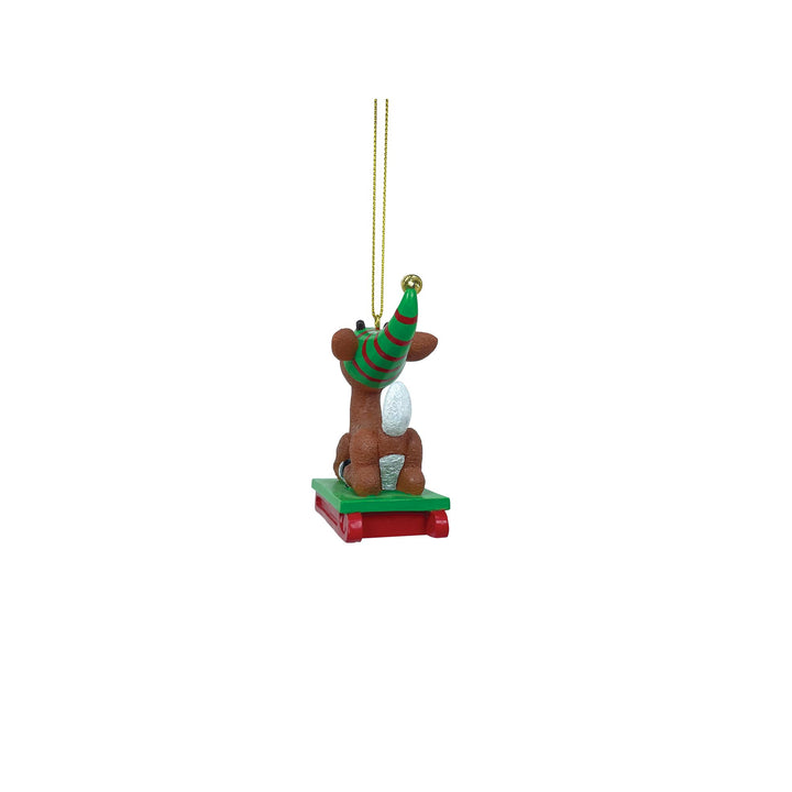 Rudolph Sledding