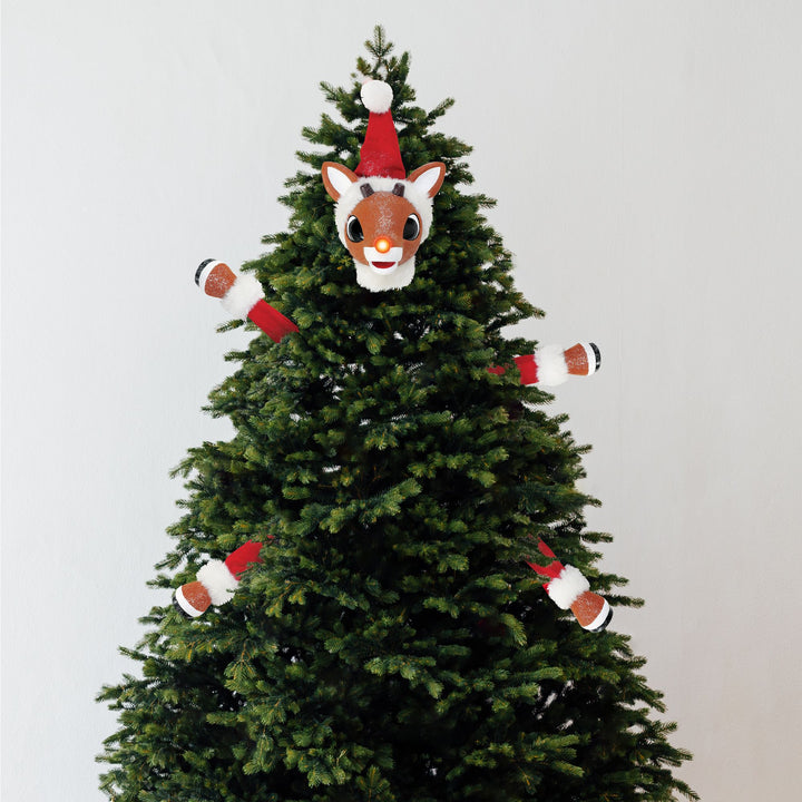 Rudolph In A Cinch
