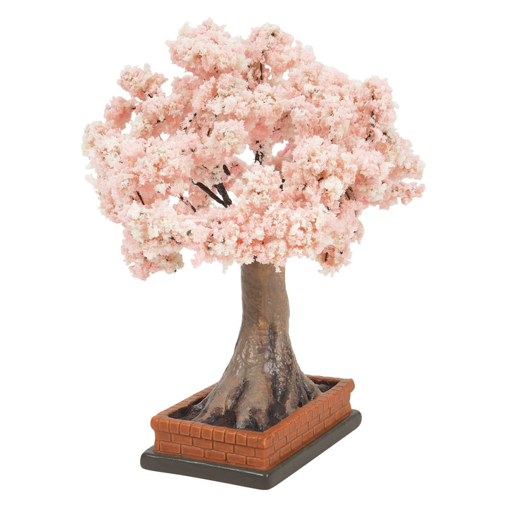 Cherry Blossom In Bloom
