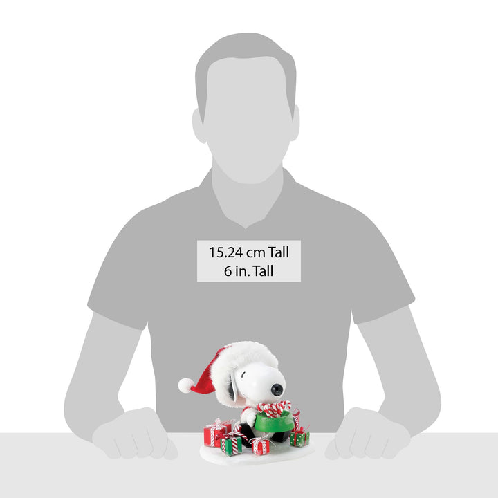 Snoopy's Bowl of Treats