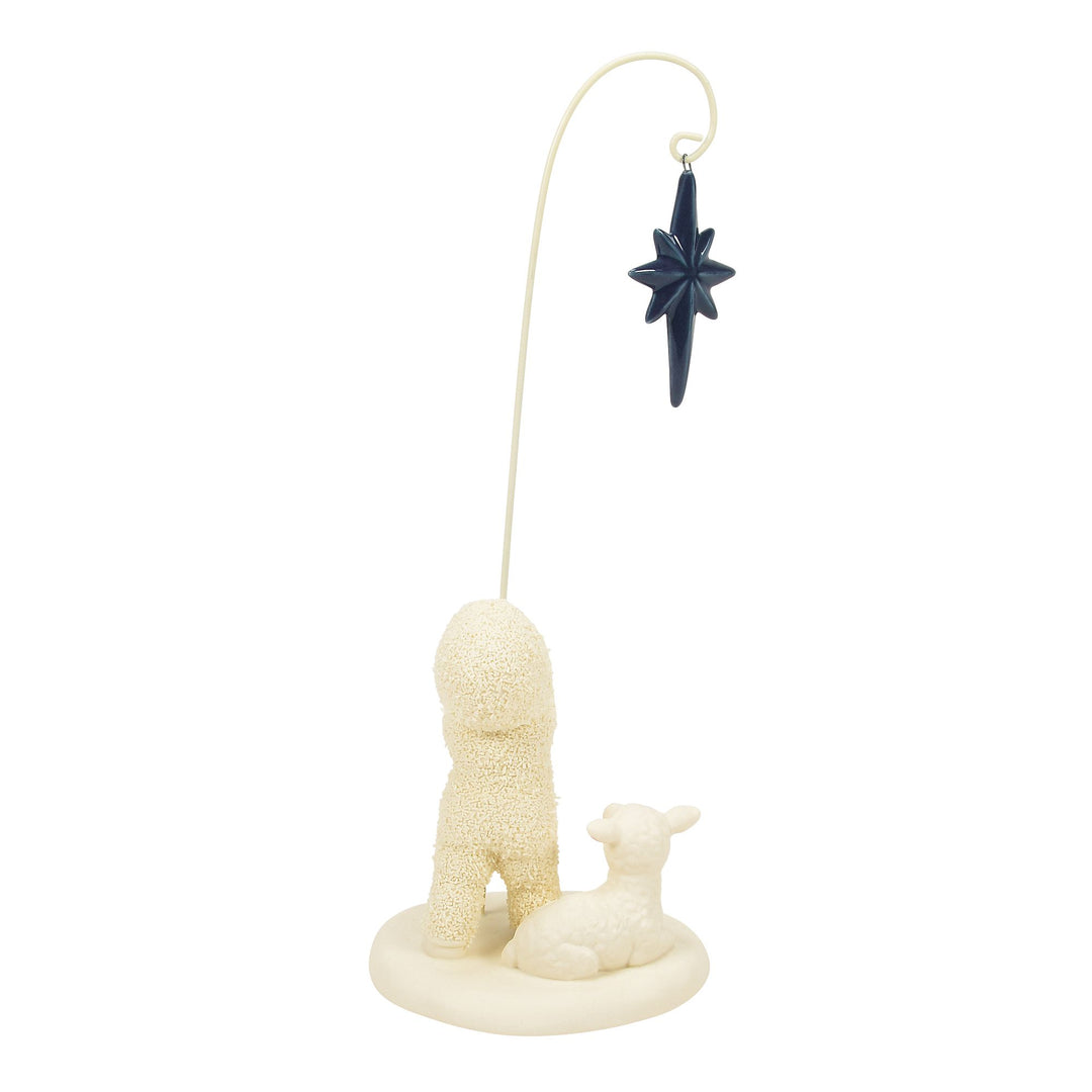 The Star of Bethlehem