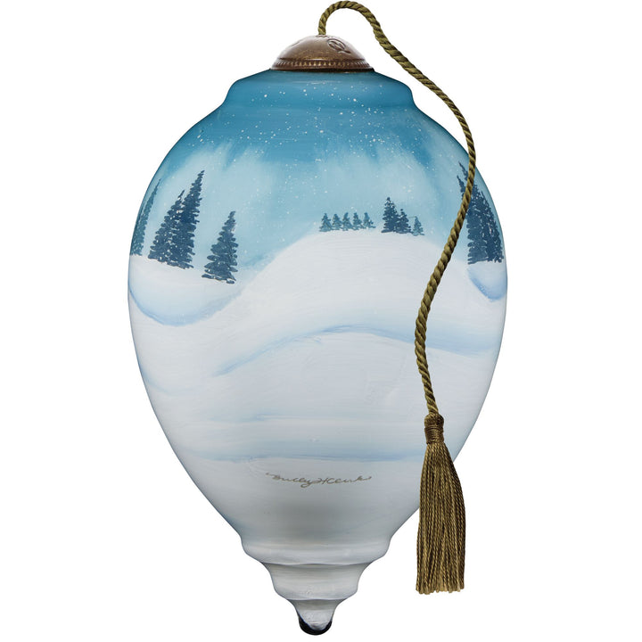 Believe Wonder Christmas Orn