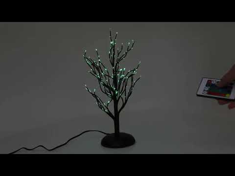 Twinkle Branch Tree, Black